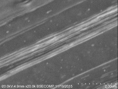 a microscopic view of nitinol niobium alloy